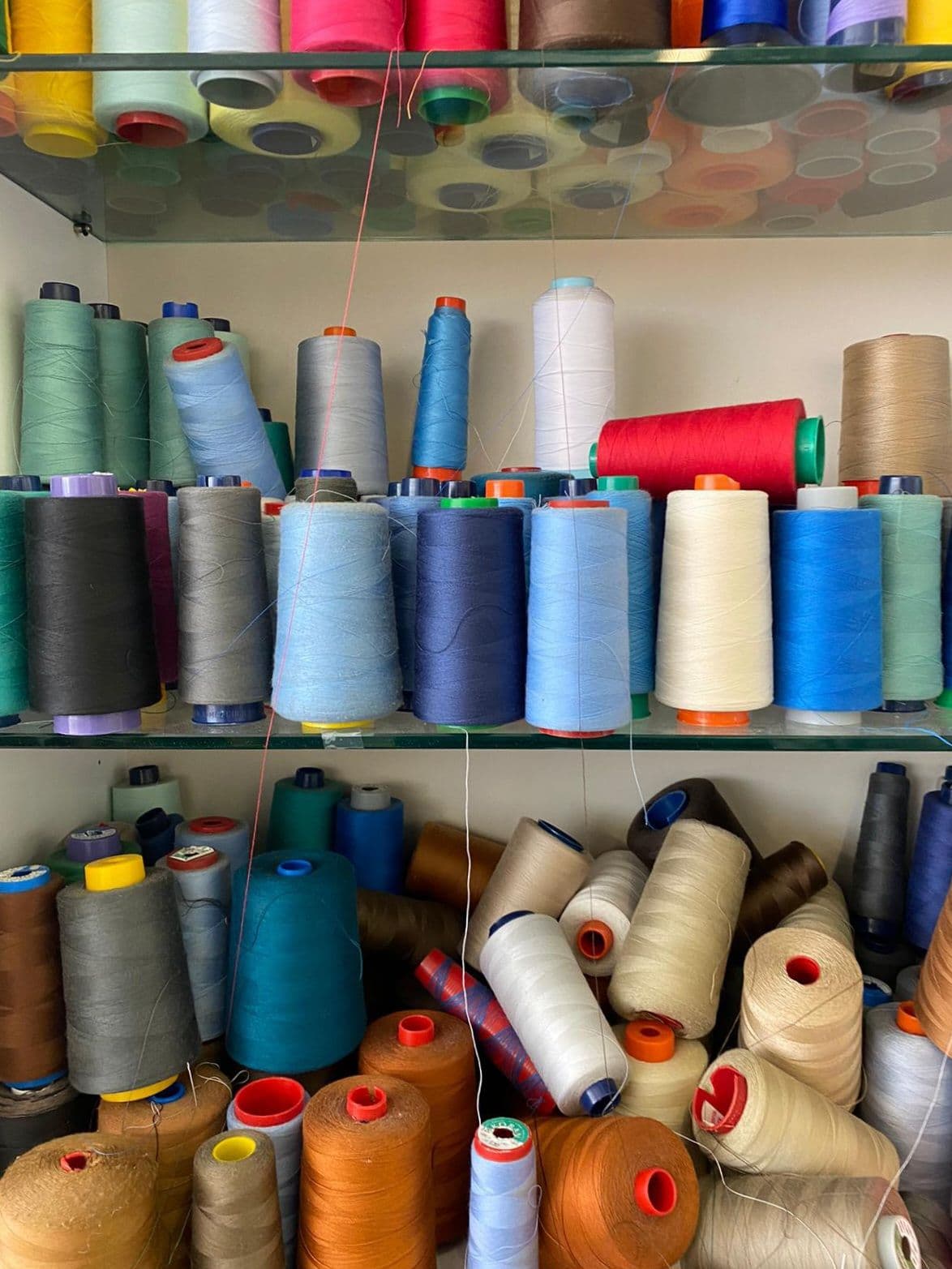 Per tutta la bellezza che anima il mondo