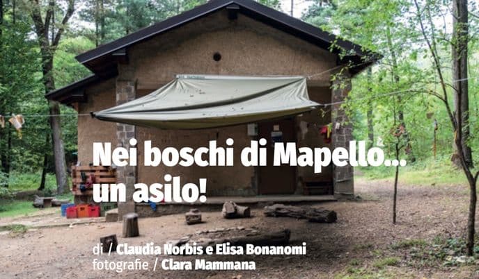 Nei Boschi di Mapello...Un asilo!